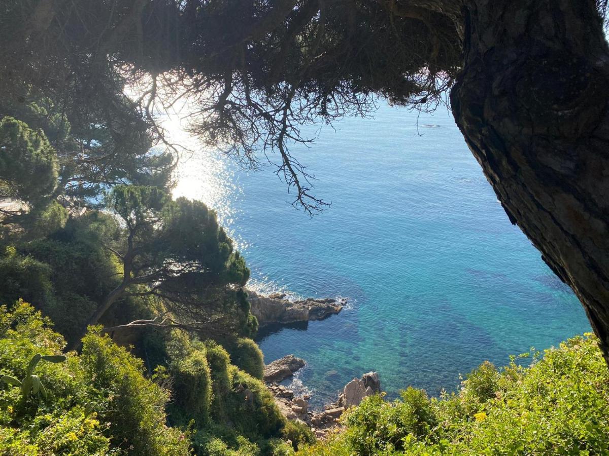 Casa Brisa Villa Blanes Eksteriør billede